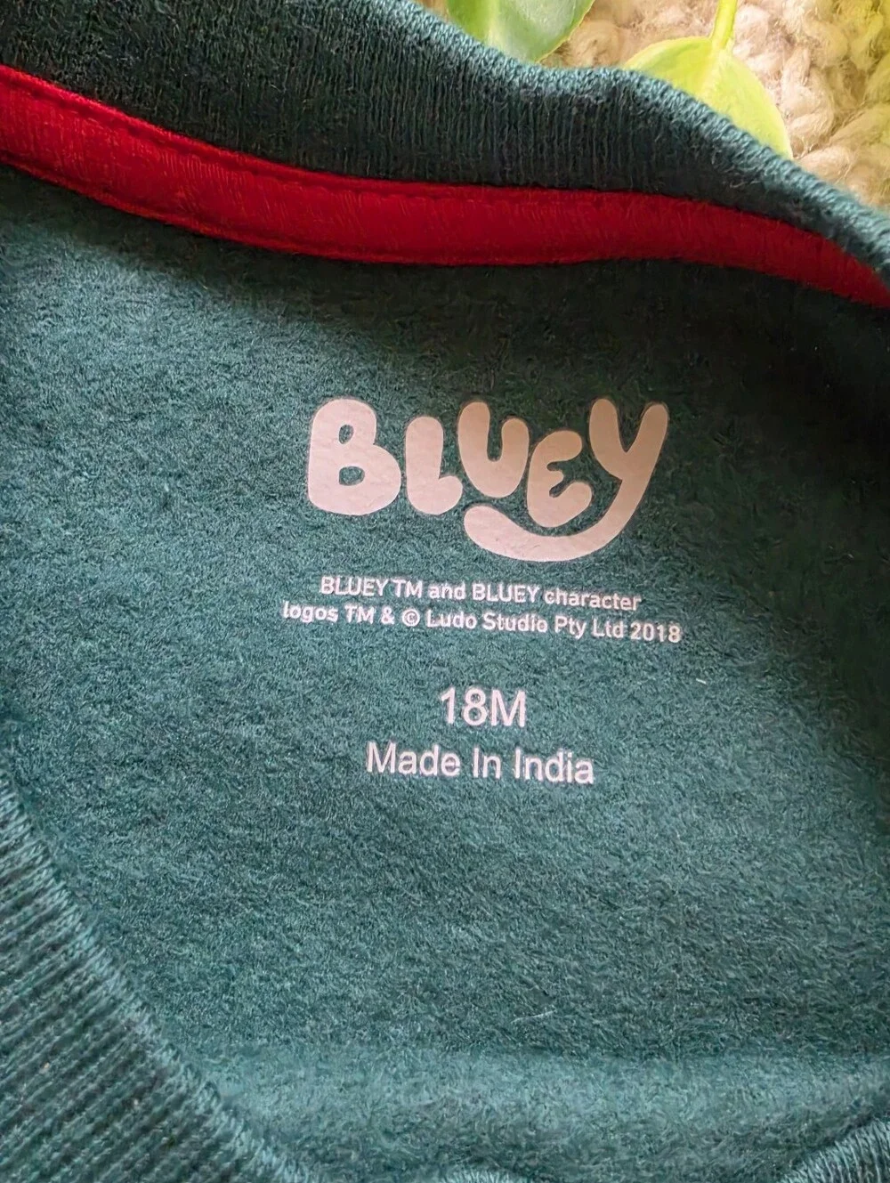 Baby Boy Bluey Christmas Sweatshirt (12-18 Months)